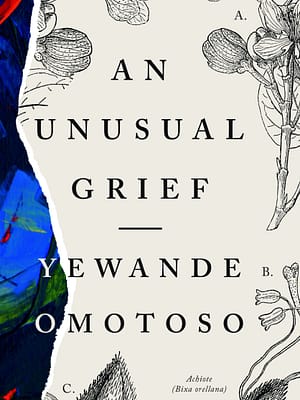 An Unusual Grief by Yewande Omotoso book cover