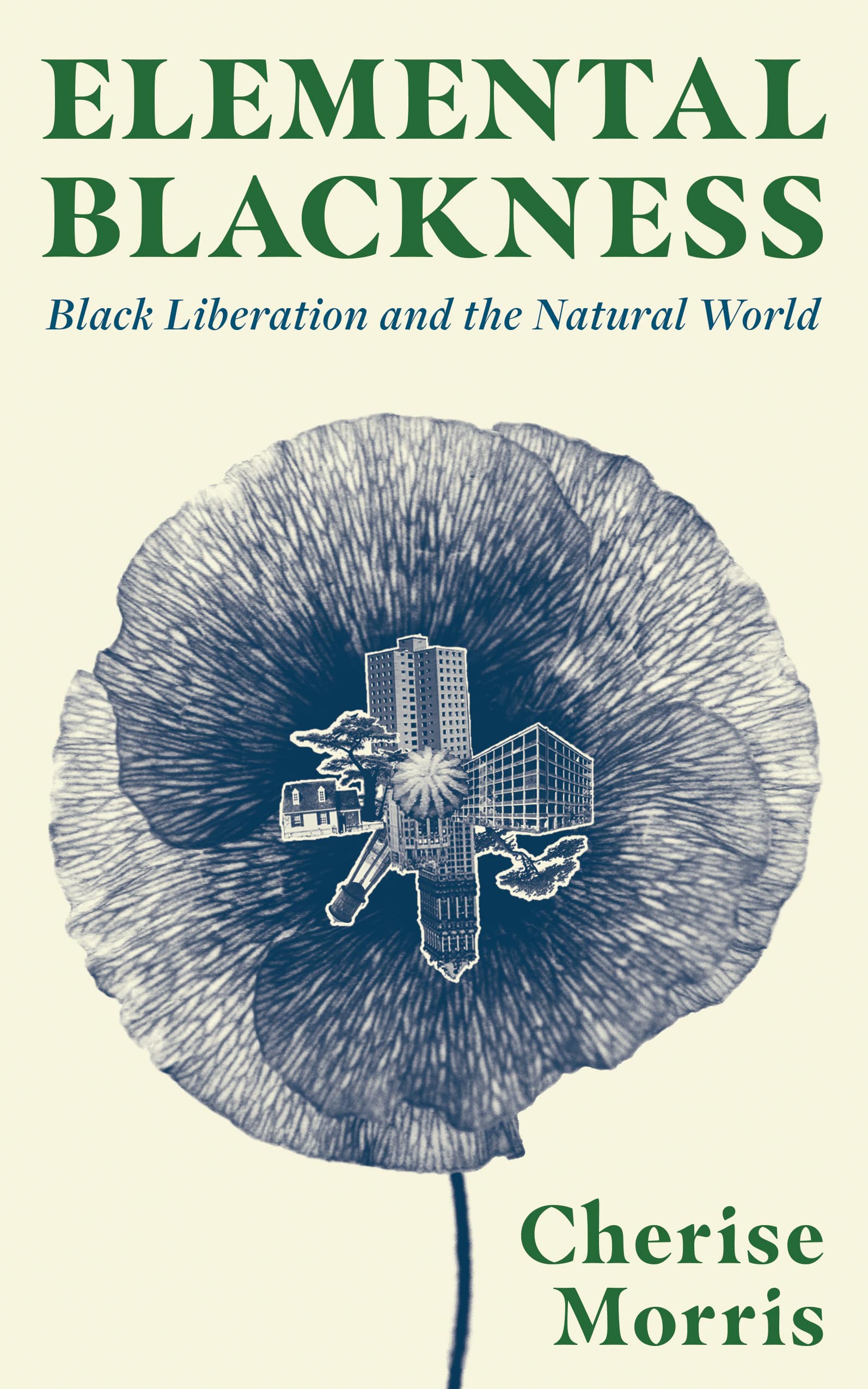 Elemental Blackness